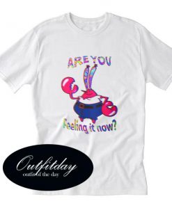 Are You Feeling It Now Mr Krabs T-Shirt