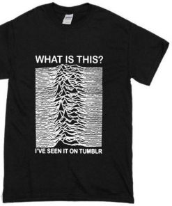 Joy Division I've Seen On Tumblr T-Shirt  SU