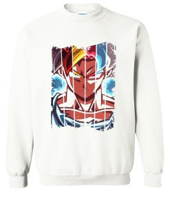 Dragon Balls Z Sweatshirt (OM)