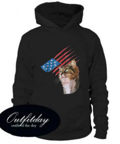 4th Of July Patriotic American Cat Hoodie