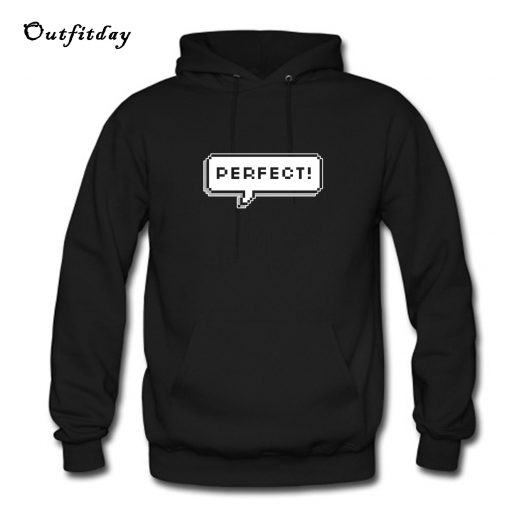 Perfect Hoodie B22