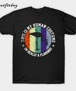 Flamingo-This Is My Human T-Shirt B22