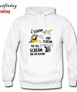 I Scream You Scream We All Scream For No Reason Hoodie B22