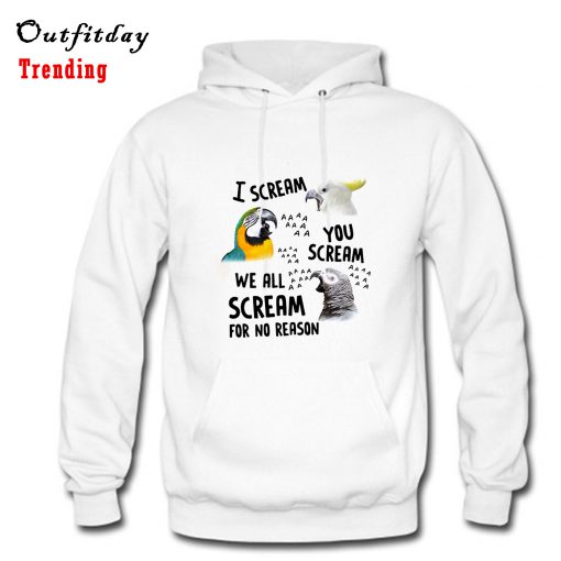 I Scream You Scream We All Scream For No Reason Hoodie B22