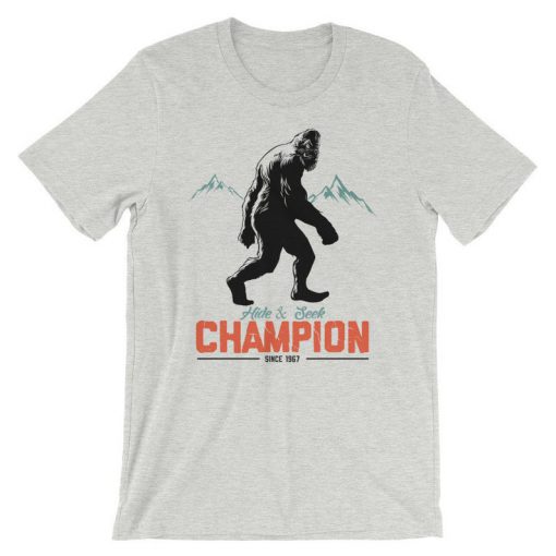 Hide And Seek Champion T-Shirt PU27