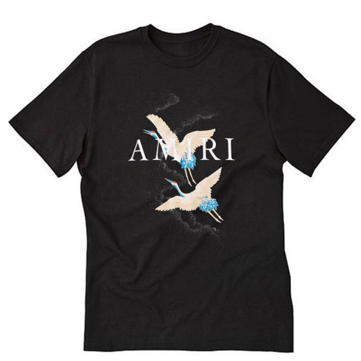 AMIRI T-Shirt PU27