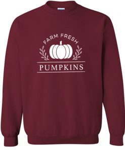 Pumpkins Sweatshirt PU27