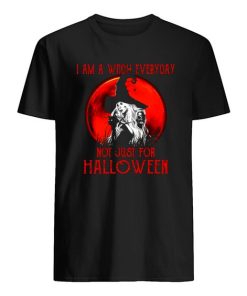 I Am A Witch Everyday Not Just For Halloween T-Shirt ZA