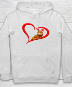 Funny Abyssinian Cat Valentine Pet Kitten Cat Lover Hoodie ZA